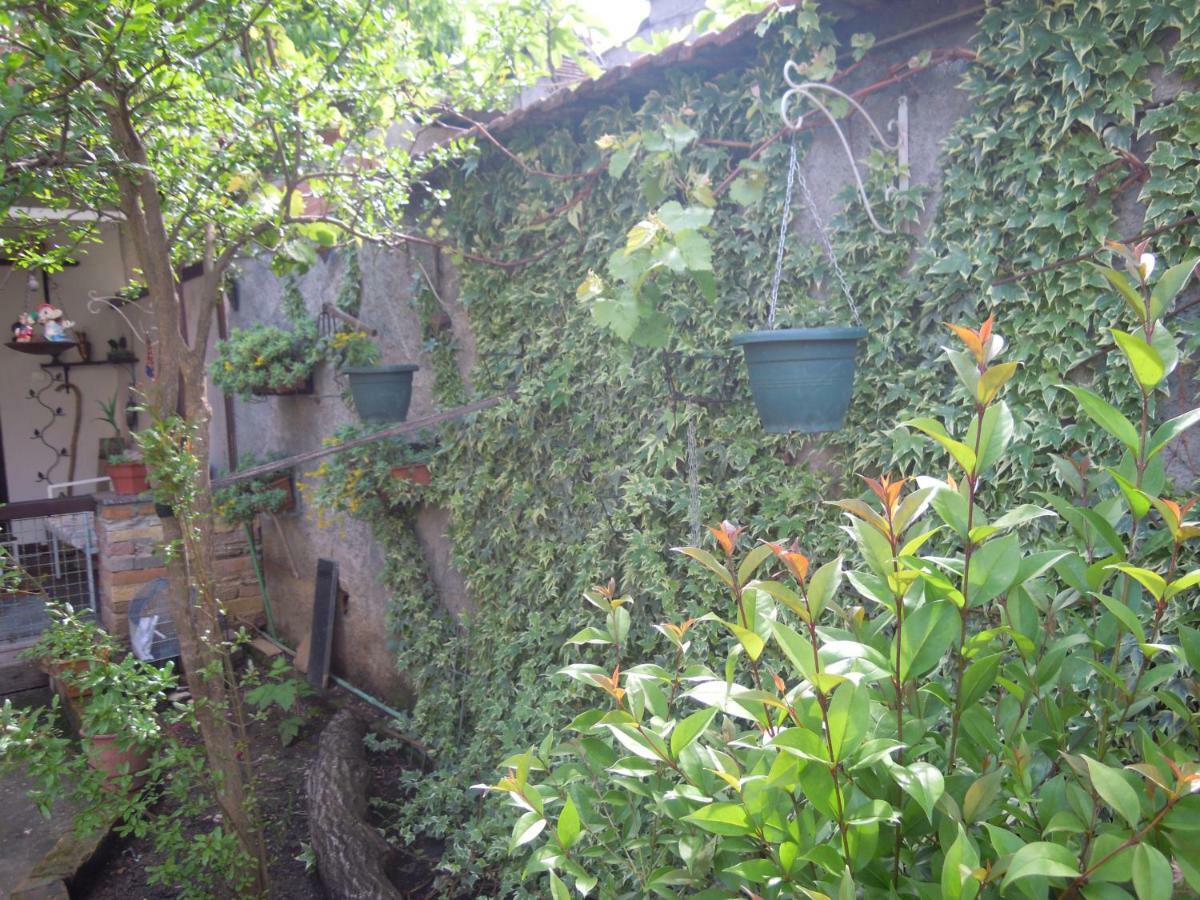 Angie'S Shared Villa Tam Tirana Esterno foto
